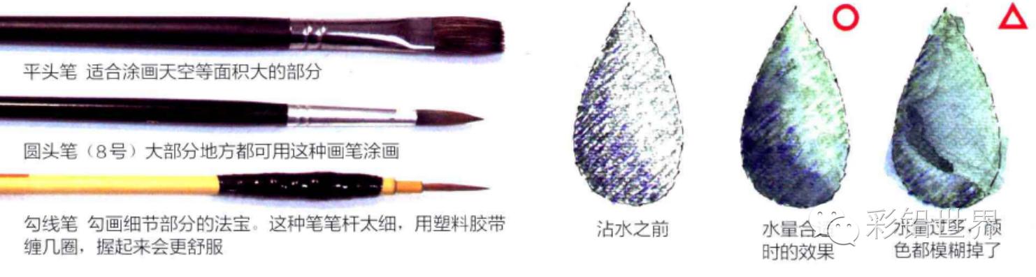 水溶性彩色铅笔怎么玩,初学者使用什么样的彩色铅笔