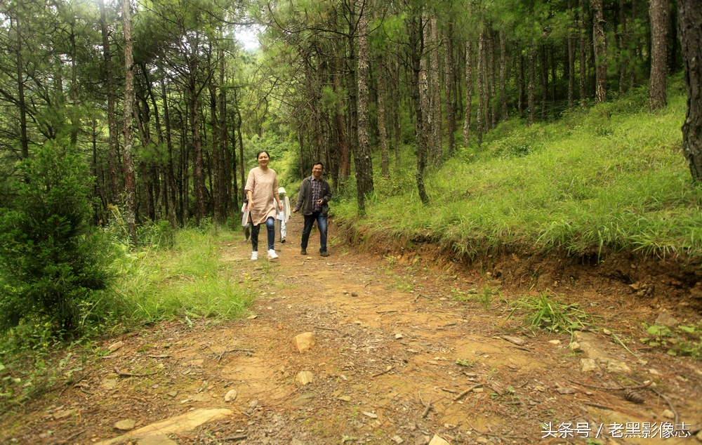 苍山西坡莲花峰,大理苍山秘境在哪里