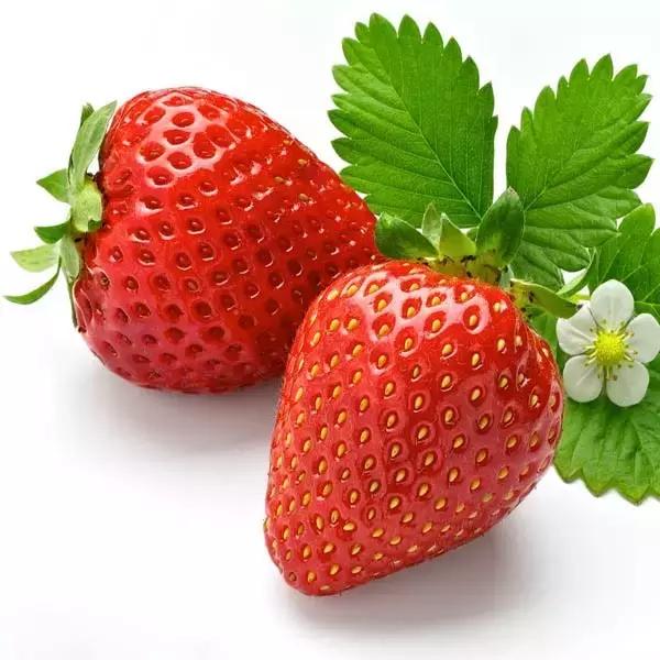 为什么奇怪的草莓是能吃的,草莓长得奇形怪状有没有营养