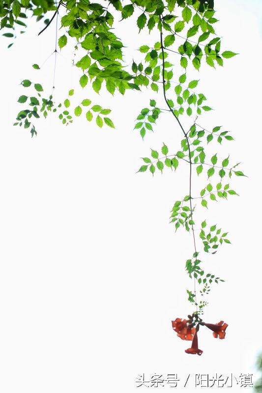 深度解析女人心里她需要什么,怎么才懂女人了解女人