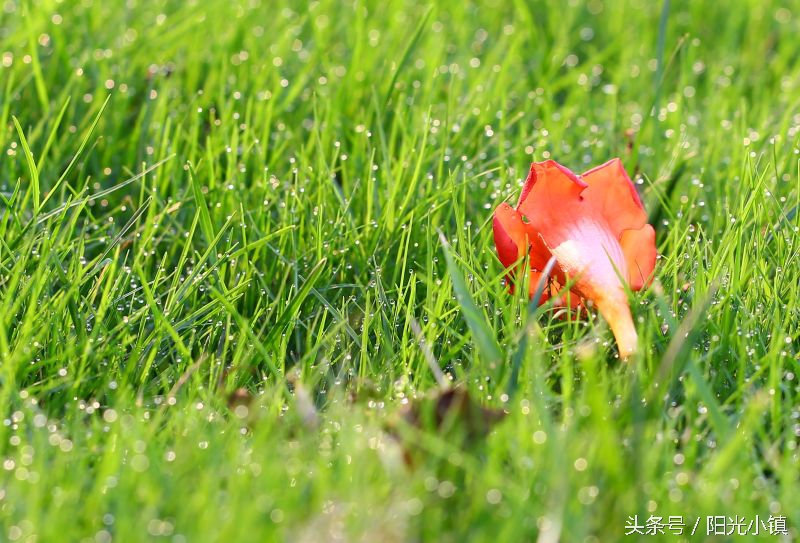 深度解析女人心里她需要什么,怎么才懂女人了解女人