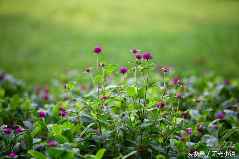 深度解析女人心里她需要什么,怎么才懂女人了解女人
