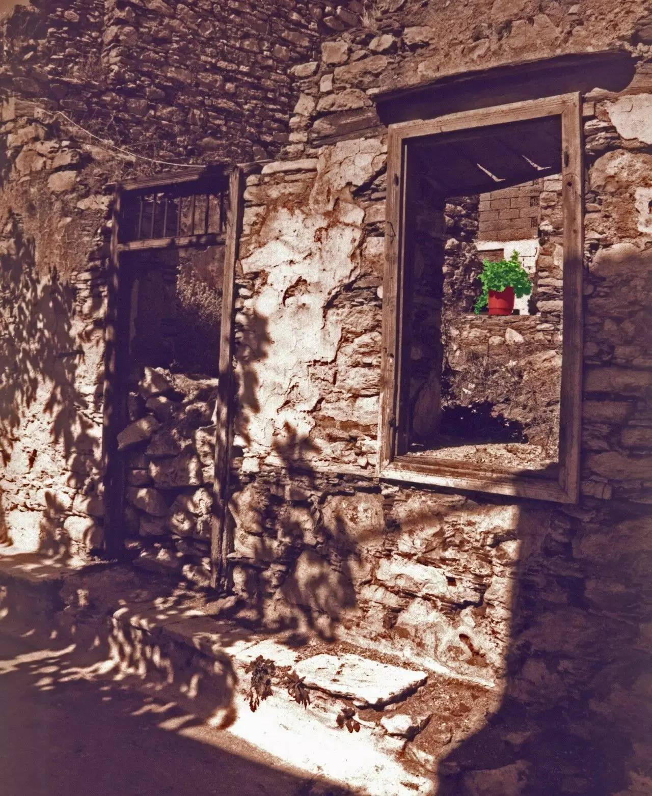 立秋系列|隔壁老王