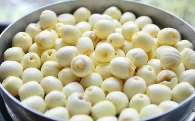 金色梦舞台全集完整版,金色梦舞台91岁老人养生法