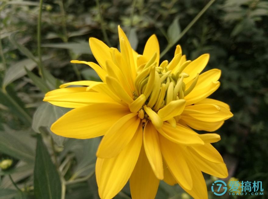 魅蓝3S有什么功能,魅蓝3s测评