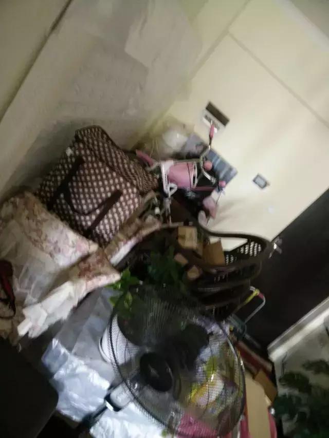 家里太乱应该怎么办,家里太乱该怎么办