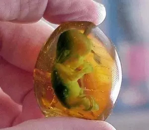 盗墓笔记最详细的豆瓣评论,盗墓笔记书名评分