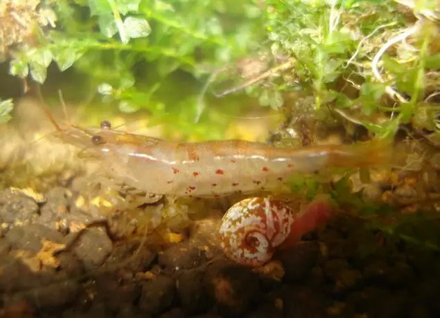 盗墓笔记最详细的豆瓣评论,盗墓笔记书名评分