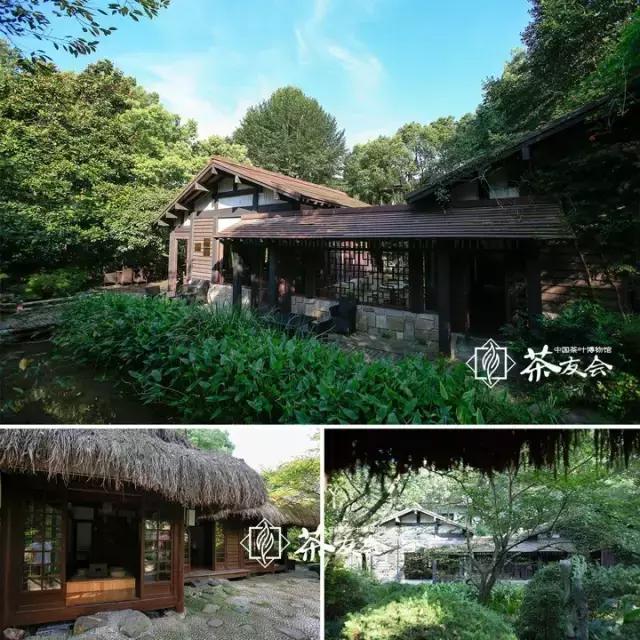 西湖边可以临湖的茶馆推荐,西湖最好茶楼排名