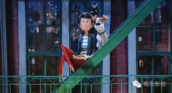 爱宠大机密和宠物大机密,疯狂动物城爱宠大机密