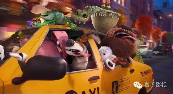 爱宠大机密和宠物大机密,疯狂动物城爱宠大机密