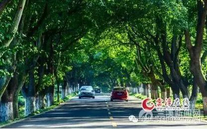 兰溪文旅风景区在哪里,兰溪全域旅游