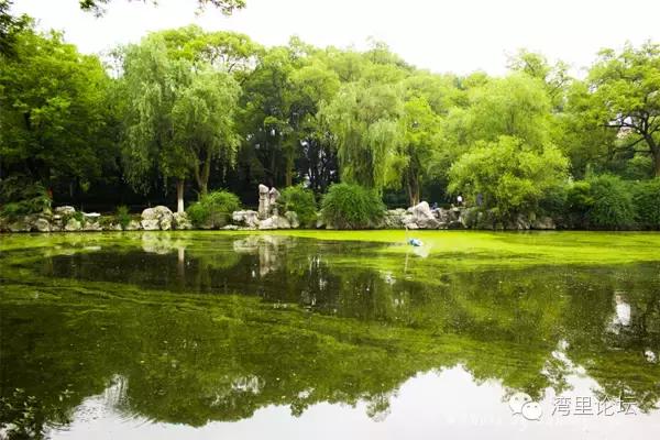 又到七夕这日，我们牵手，遇见南昌可好？