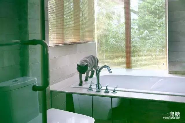 不靠谱夫妇,不靠谱夫妇小说