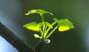 新生儿呕吐绿色粘液是什么原因,新生儿呕吐的原因以及怎样解决