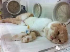 七夕,老司机这样飙车才不翻车