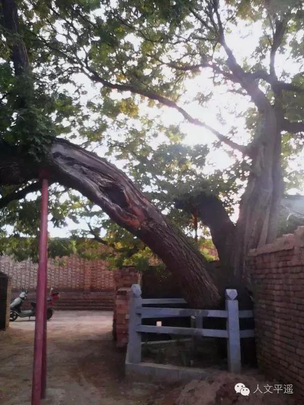 行走在乡野的路上,行走在山野乡间