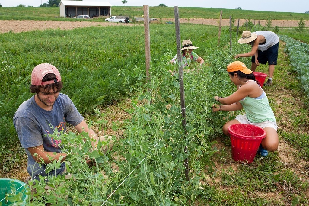 痛斥乔布斯,炮轰盖茨,自由软件之父最爱用中国上网本