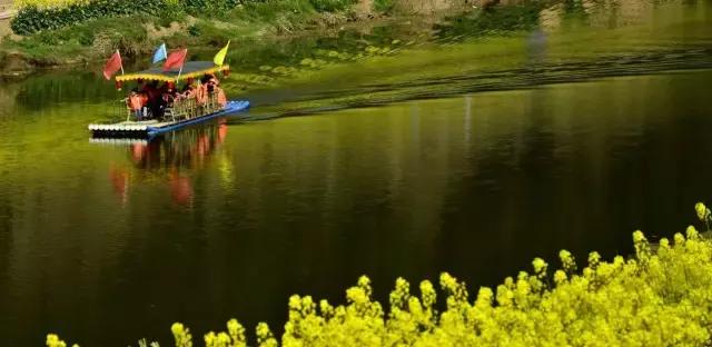 阿里山的姑娘邓禹平,阿里山的姑娘邓禹平结婚了吗