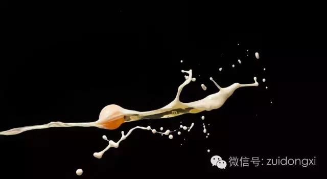 用煎蛋锅煎蛋真是仪式感满满,怎样用煎蛋锅煎蛋不糊又熟透