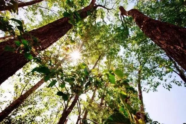 哈沙图村最近新闻,哈沙图村新闻