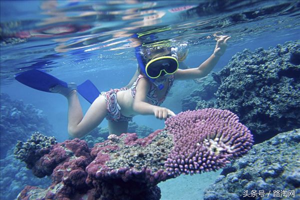 沙巴的美景感悟,四个理由让你爱上吃鱼