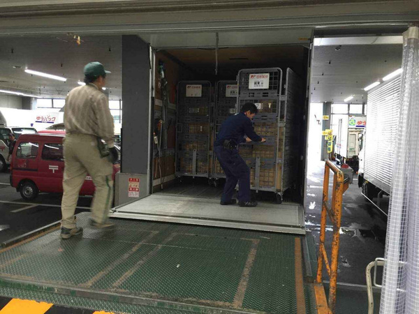 日本转运公司怎么玩,日本转运公司包税路线