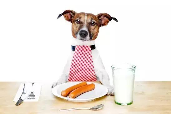 狗狗骨折怎么减轻痛苦,狗狗骨折最佳治疗方法