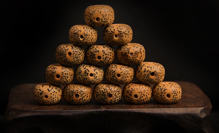 金蝉子星月菩提是什么料,星月菩提龙鳞是什么