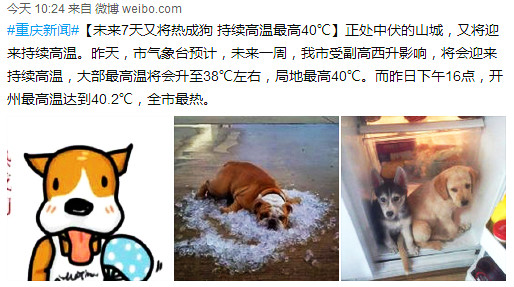 再有人喊热到爆，你就把这篇文章甩给TA！