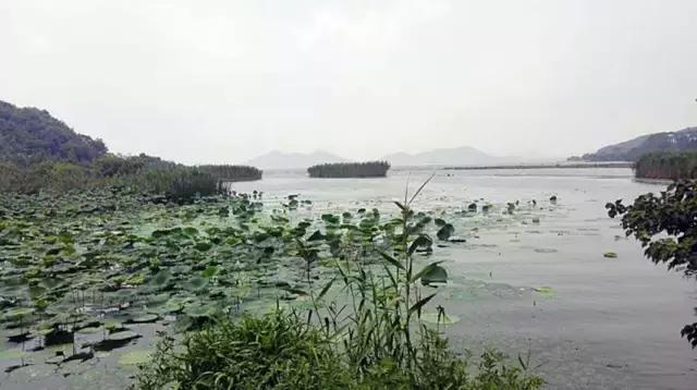 26款本田凌派的cvt变速箱怎样,本田凌派cvt变速箱带液力变矩器吗