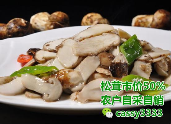 昆明野生松茸菌价格多少,关于晒干的野生松茸菌多少钱一斤