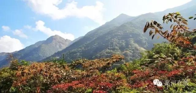 高州一天一夜游哪里好玩,高州最值得去的地方
