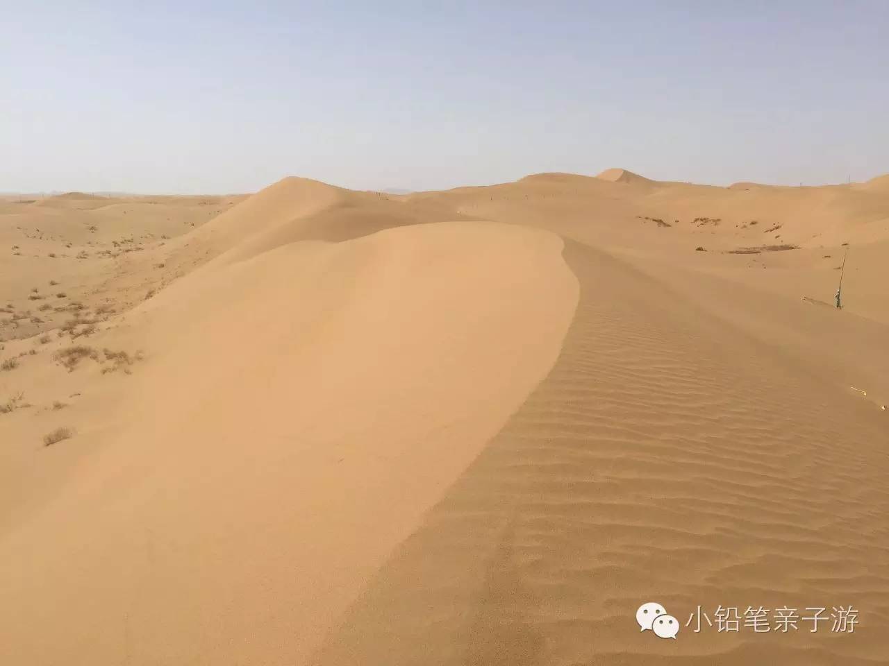 爸爸去哪儿宁夏沙坡头片段,爸爸去哪儿宁夏沙坡头