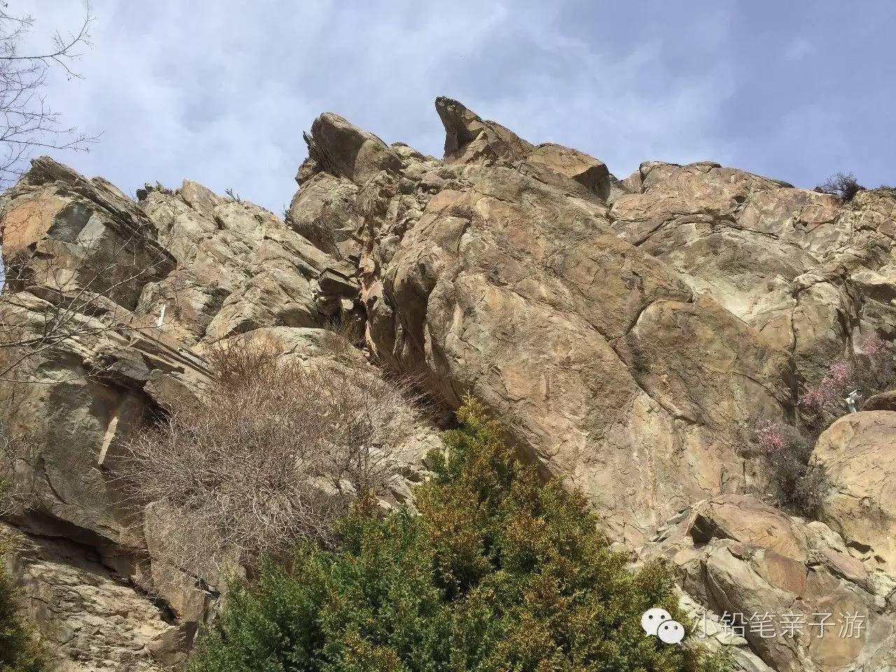 爸爸去哪儿宁夏沙坡头片段,爸爸去哪儿宁夏沙坡头