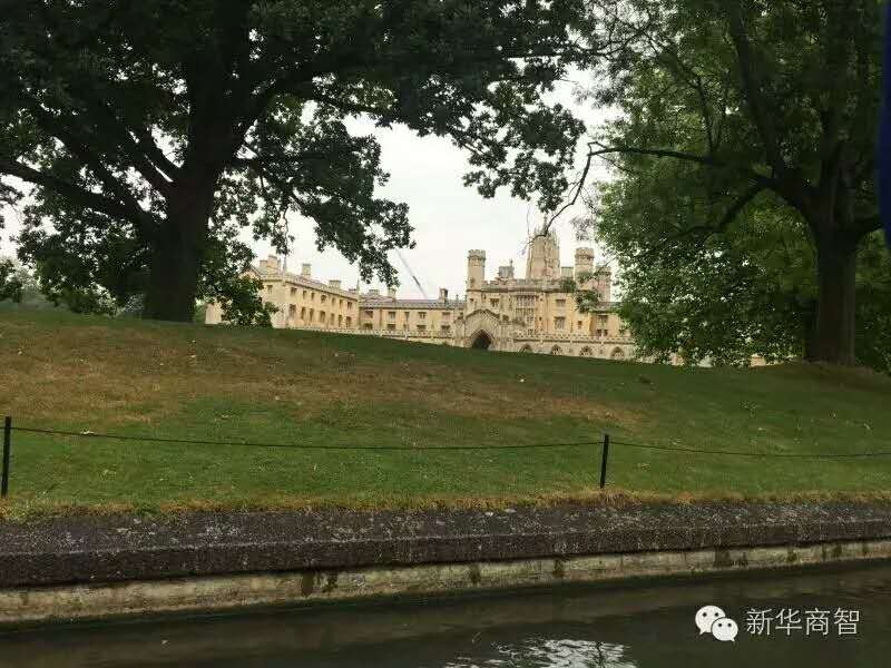 新华商智个人成长业绩提升,新华商智怎么样