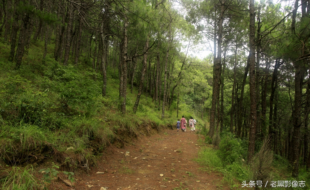 苍山西坡莲花峰,大理苍山秘境在哪里