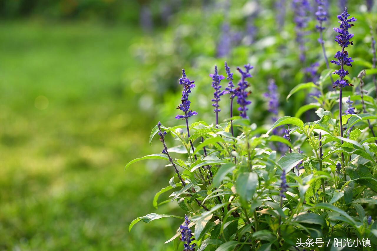 深度解析女人心里她需要什么,怎么才懂女人了解女人