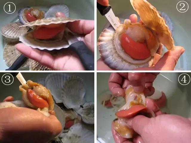 烟台海鲜什么季节最好吃,逼格最高的烟台海鲜