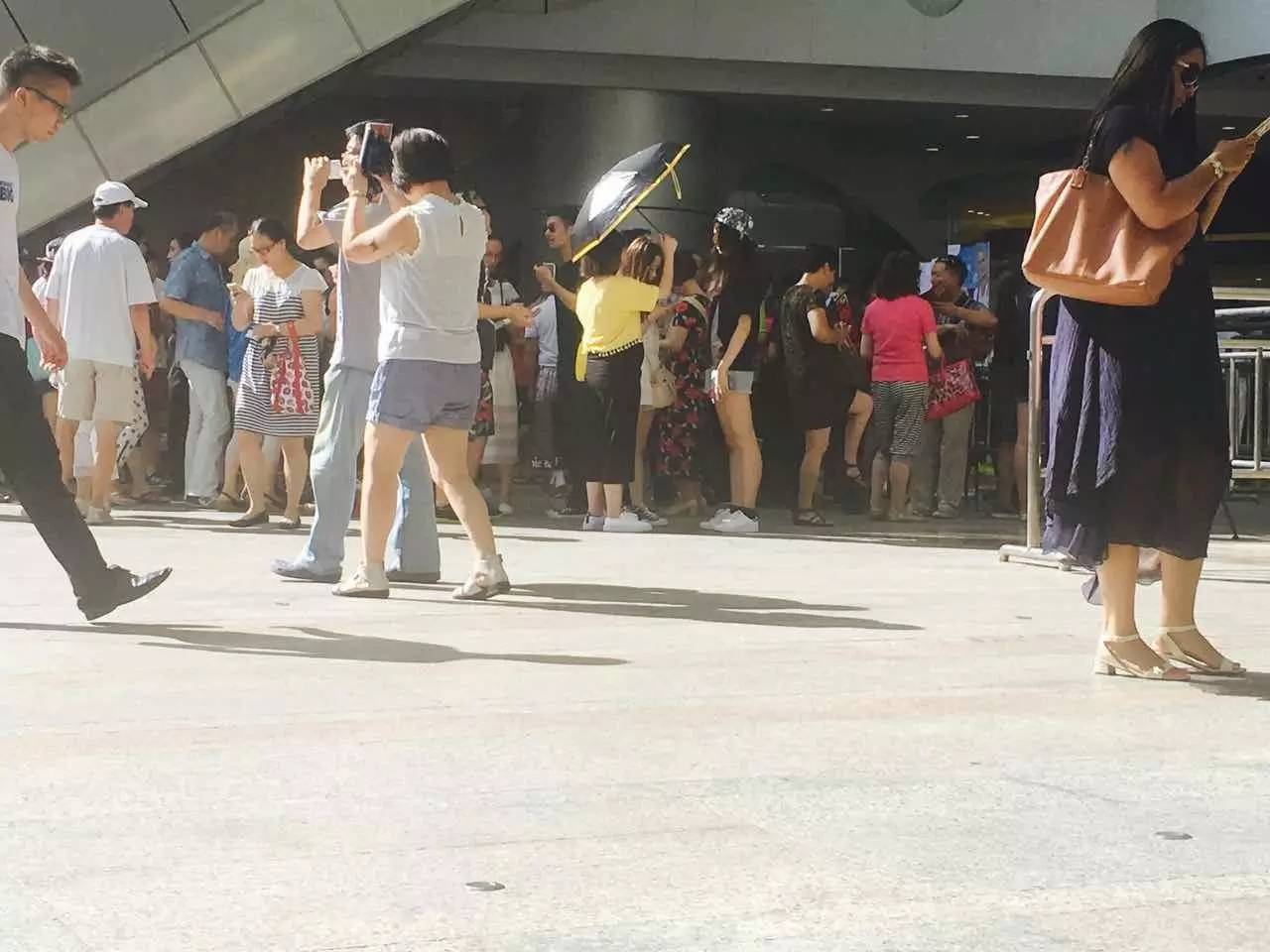 上海比较大的免税店在哪里 (上海最大的免税店在哪)