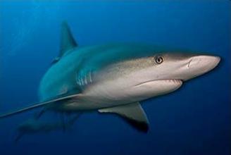 梦克拉面膜,梦可拉睡眠面膜有用吗