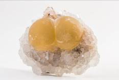 中国地质博物馆百年，这30件藏品亮瞎你的双眼