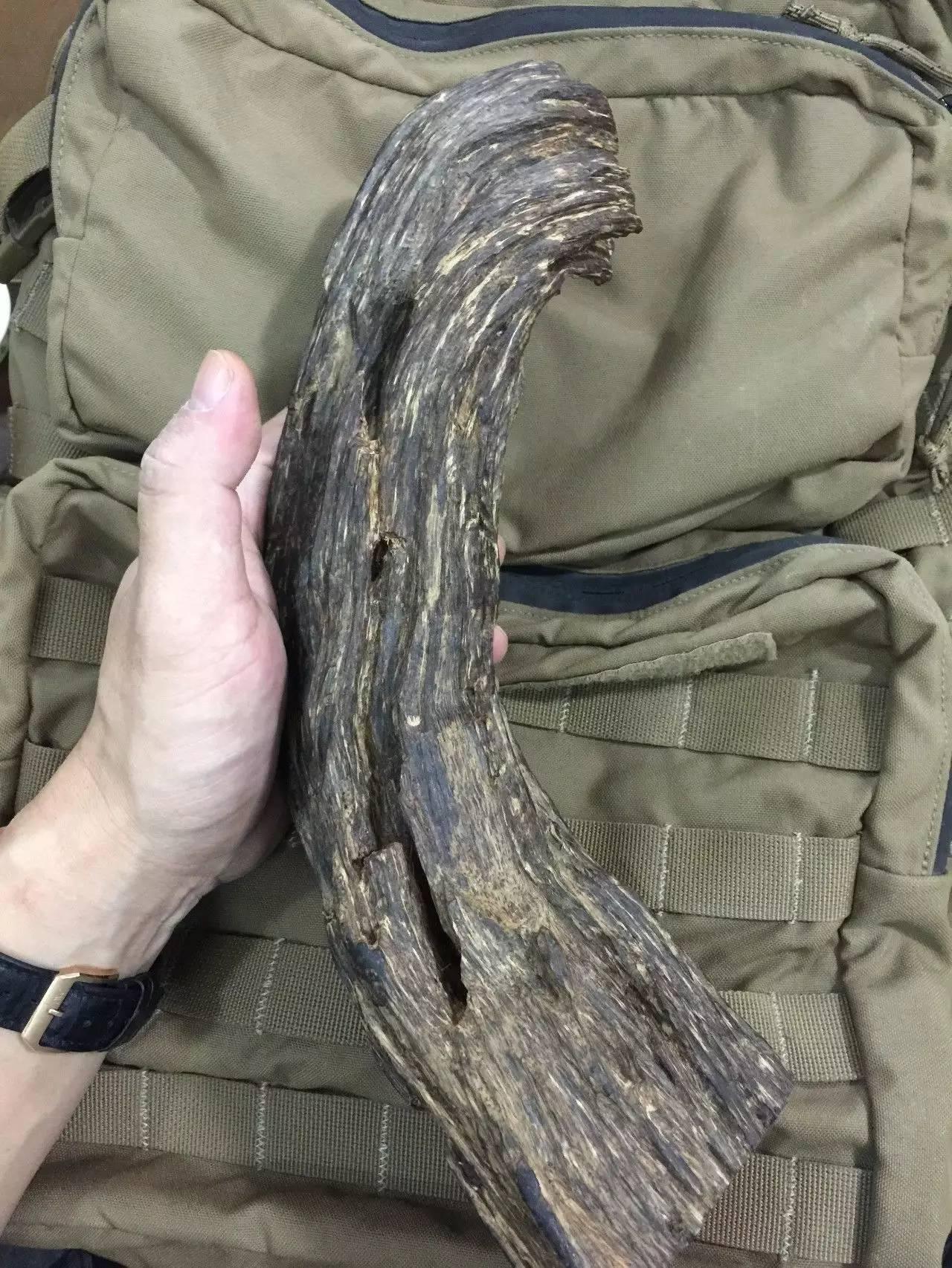 莺歌绿奇楠什么价,人工种植的莺歌绿奇楠多少钱