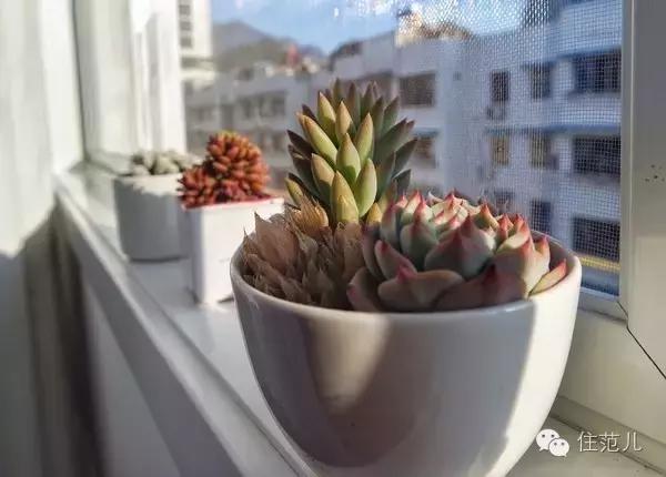 如何在十八线小城市生活,在18线小城市生活