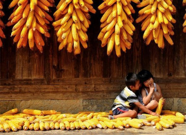 家里什么条件还用苹果手机 (家里条件一般该不该用苹果手机)