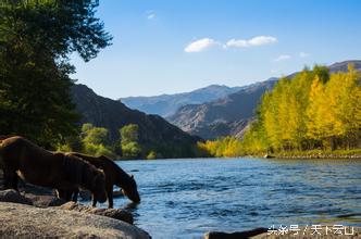 人间仙境可可托海纪行（文/冯忠文）