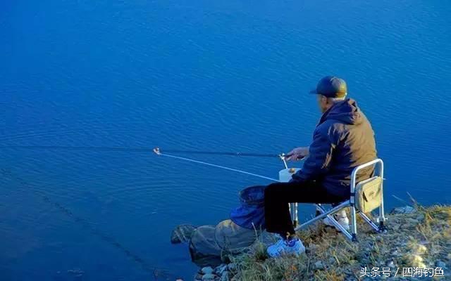 专治野钓不上钩的饵料,野钓鱼不吃钩