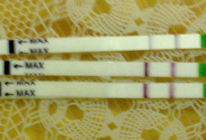 如何自检自测排卵,有几种方法检测排卵