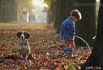 输尿管排尿慢膀胱有问题,尿尿慢有可能输尿管狭窄吗