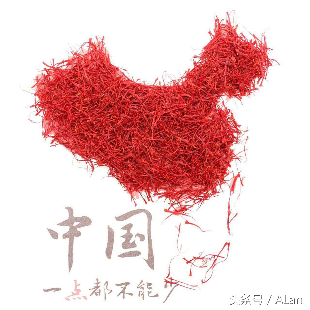 藏红花为什么称为花中黄金,藏红花为花中黄金